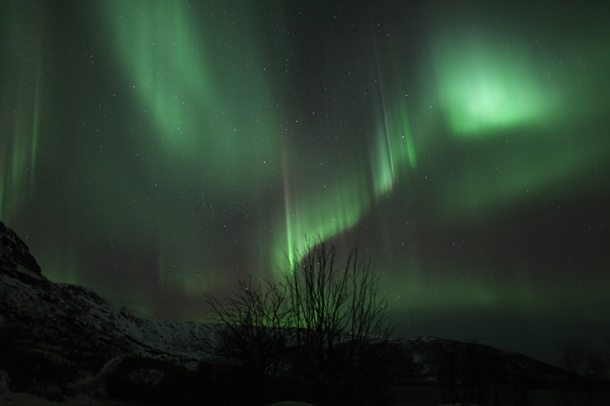 Chasing The Northen Lights In Tromsø (19)